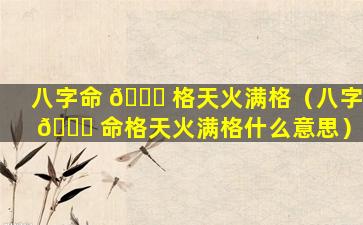 八字命 🐘 格天火满格（八字 🍁 命格天火满格什么意思）